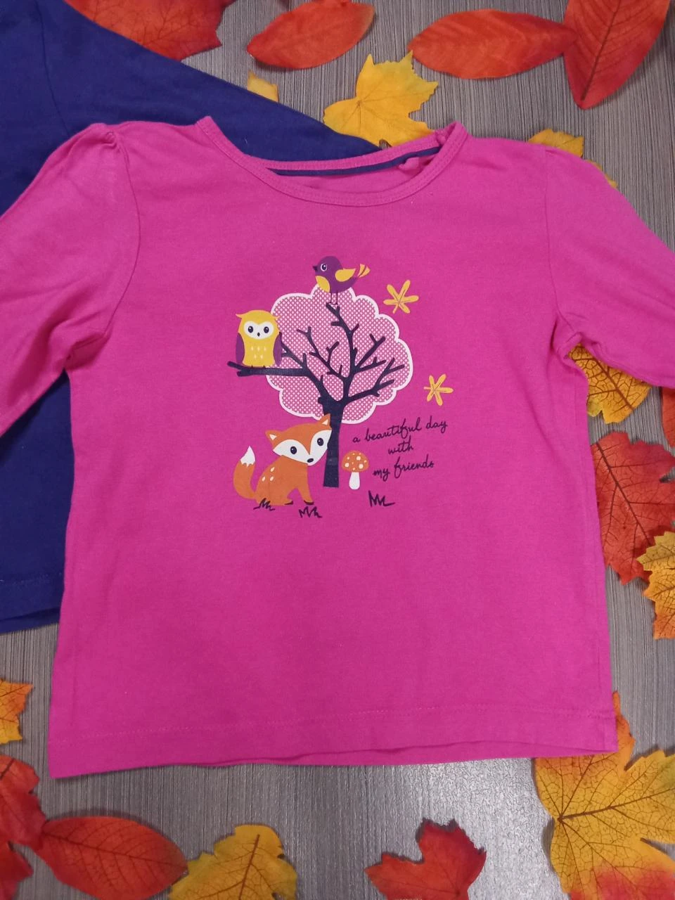 Lote de 2 t-shirts Lupilu 3-4 anos – photo 11